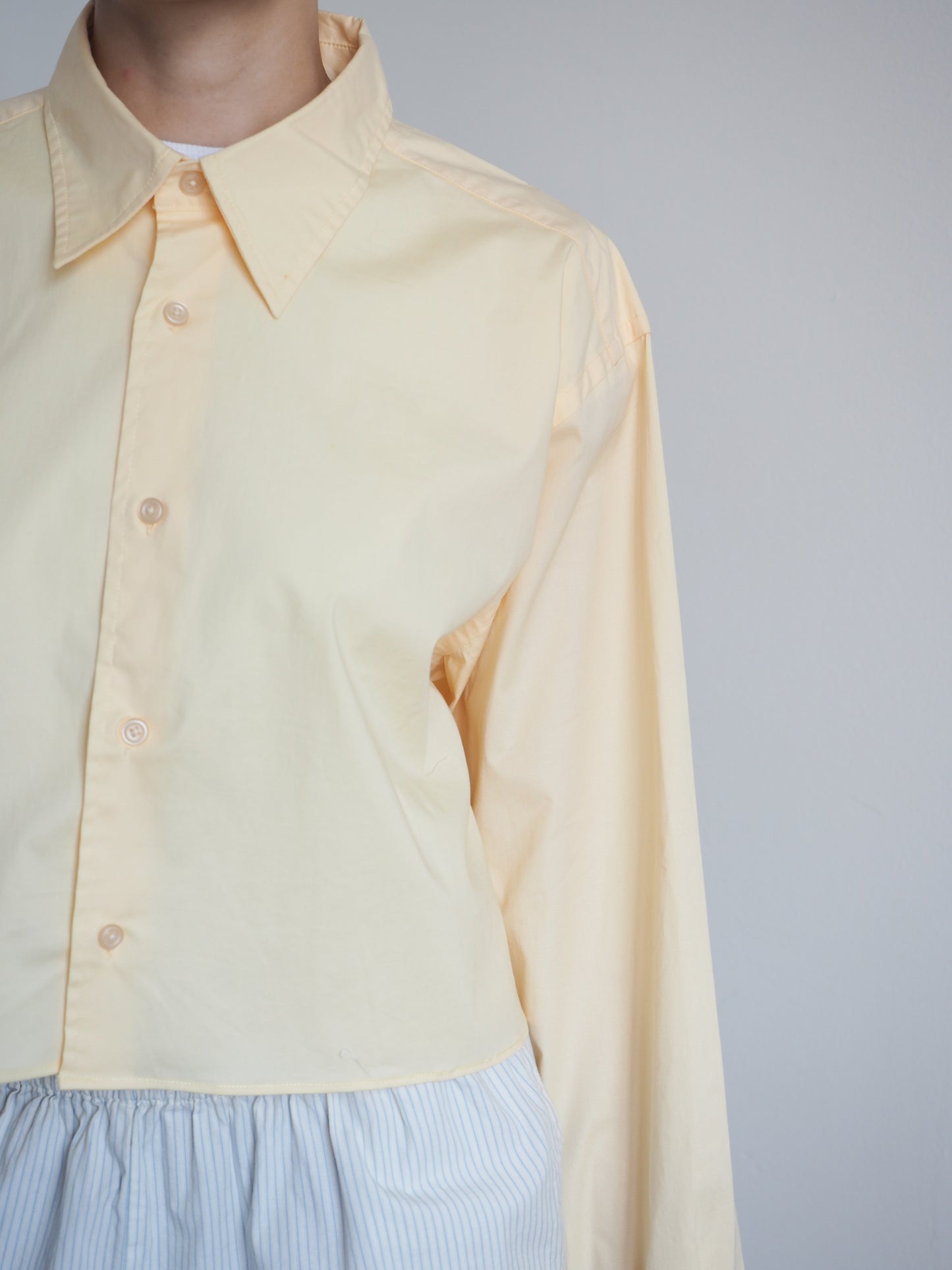 Collective Will Re-Worked Cropped Shirt