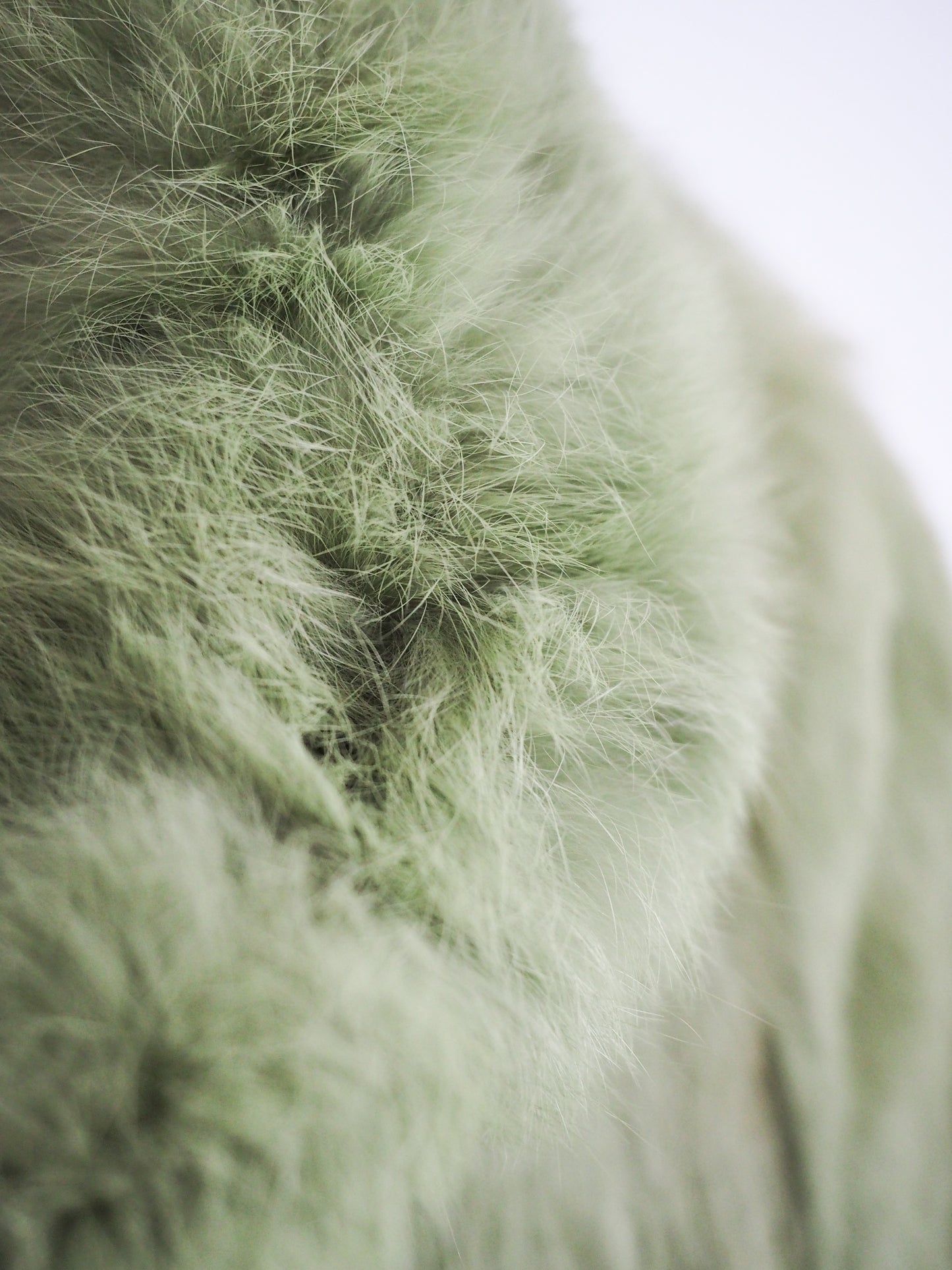 Pre-Owned Vintage bowi E Fur Jacket (M)