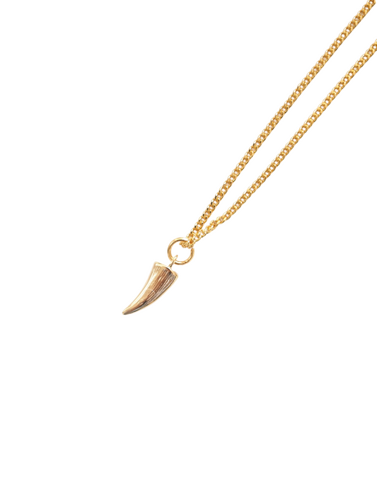 Trendy Trove Shark Tooth Pendant Necklace