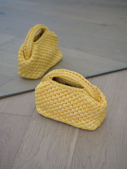 Lamour Shimmer Braided Top Handle Bag