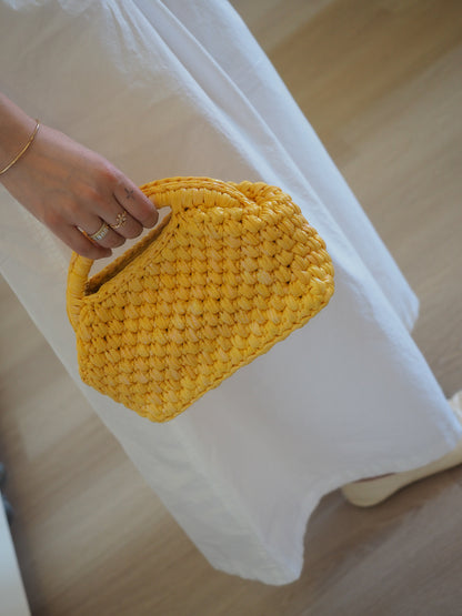 Lamour Shimmer Braided Top Handle Bag