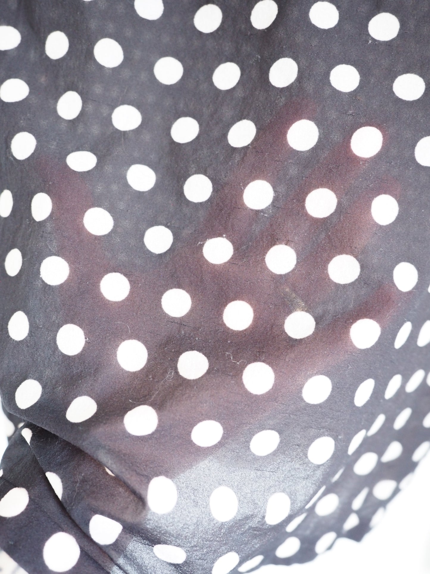 Pre-Owned Acne Studios Polka Dot Sheer Turtleneck (M)