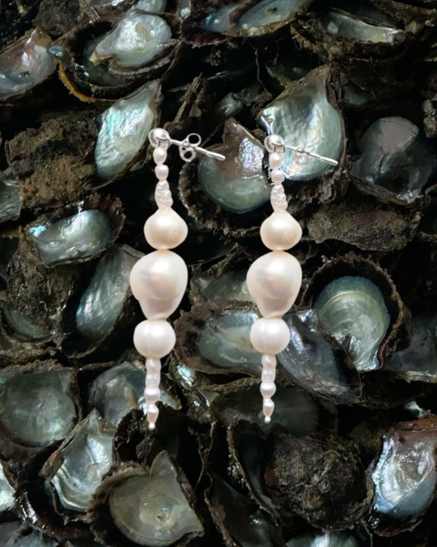 LAGUNA Oyster Veil Earring